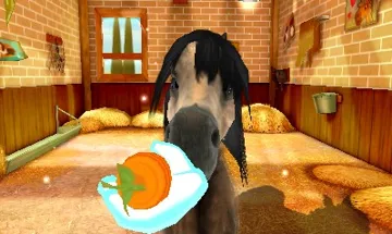 My Foal 3D (Europe) (En,Fr,De,Es,It,Nl) (Rev 2) screen shot game playing